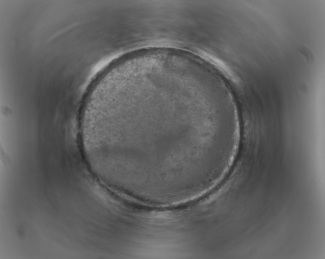 X0000090621264200708071217