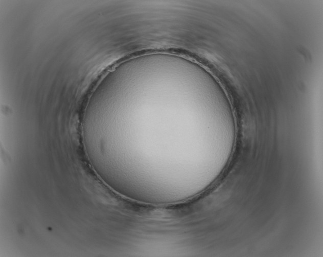 X0000090621265200708071217