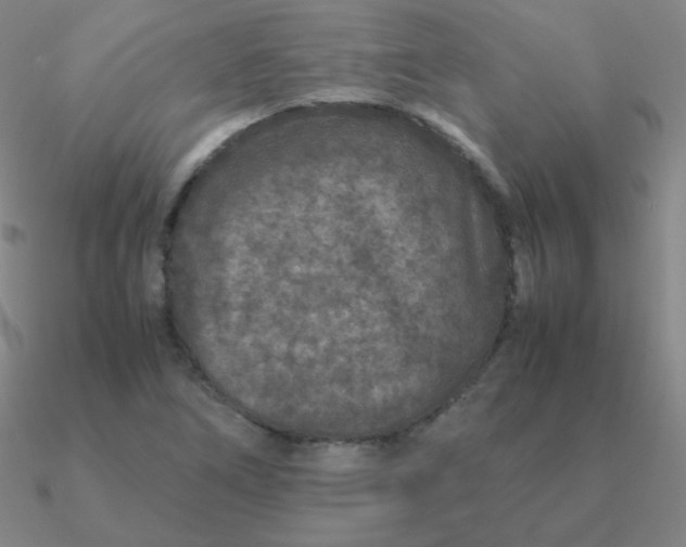 X0000090621266200708071217