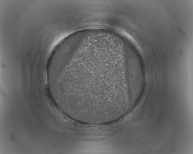 X0000090621267200708071217