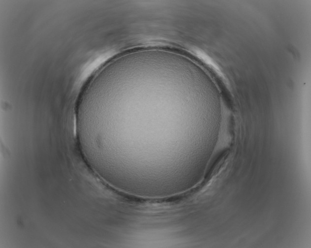 X0000090621269200708071217