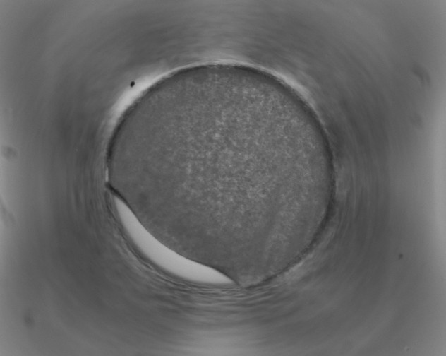 X0000090621271200708071217