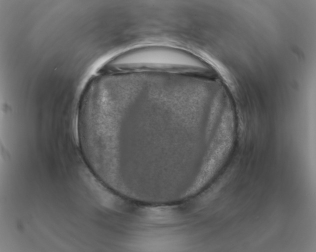 X0000090621272200708071217