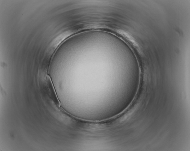 X0000090621273200708071217