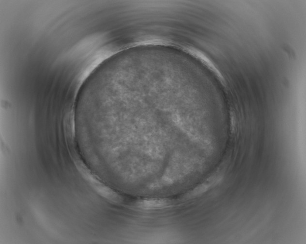 X0000090621274200708071217