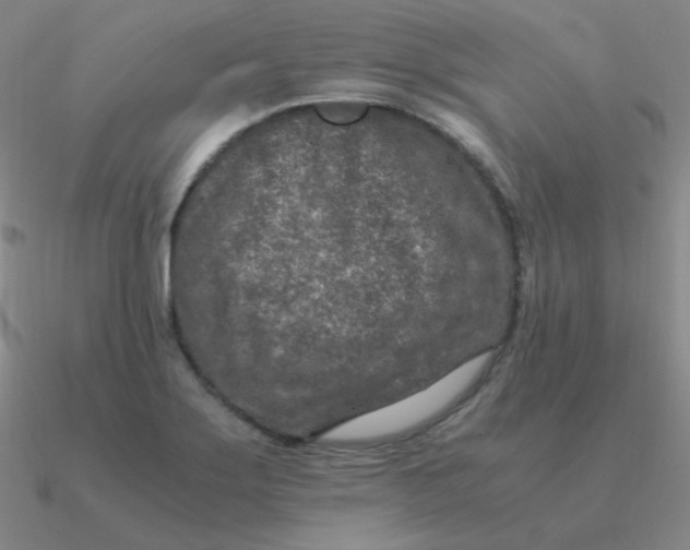 X0000090621275200708071217