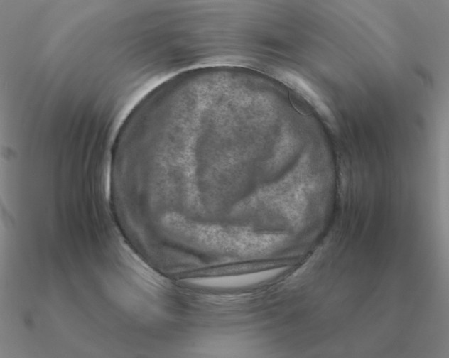 X0000090621276200708071217