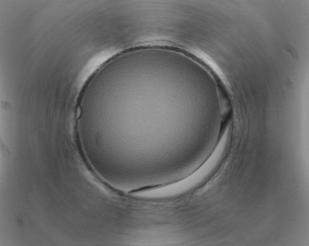 X0000090621277200708071217