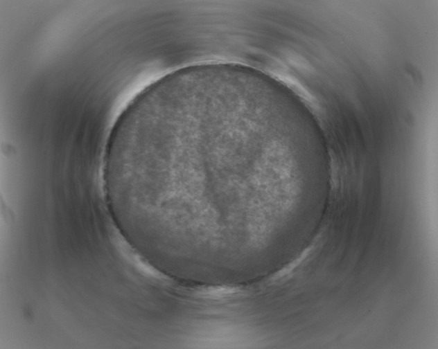 X0000090621278200708071217