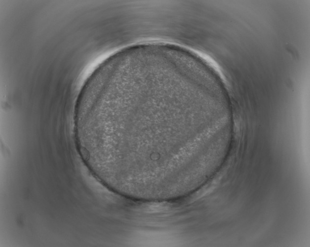 X0000090621279200708071217