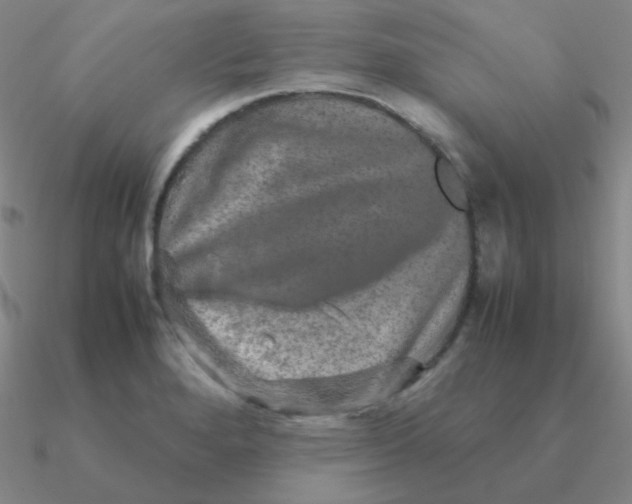 X0000090621280200708071217