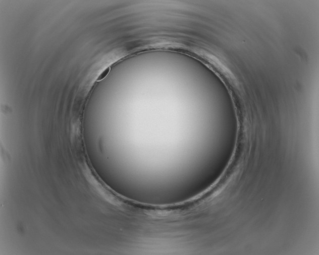 X0000090621281200708071217