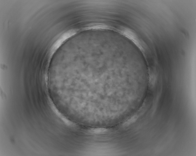 X0000090621282200708071217