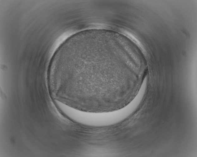 X0000090621283200708071217