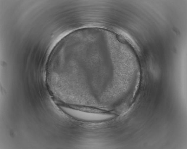 X0000090621284200708071217