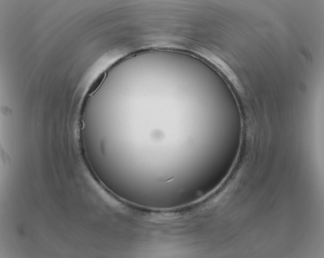 X0000090621285200708071217