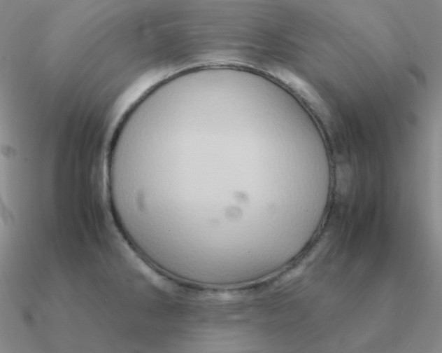 X0000090621286200708071217