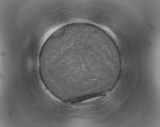 X0000090621287200708071217