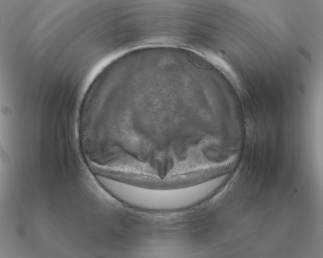 X0000090621288200708071217