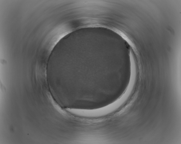 X0000090621289200708071217