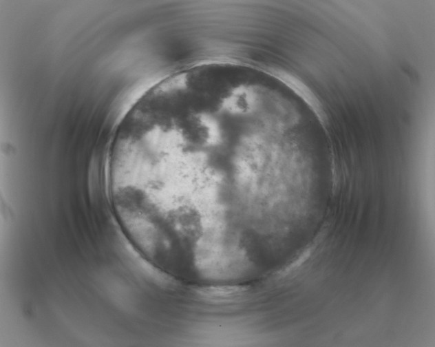 X0000090621290200708071217