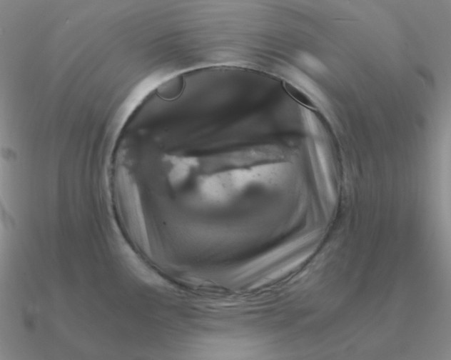 X0000090621291200708071217