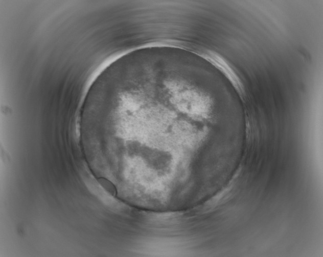 X0000090621292200708071217