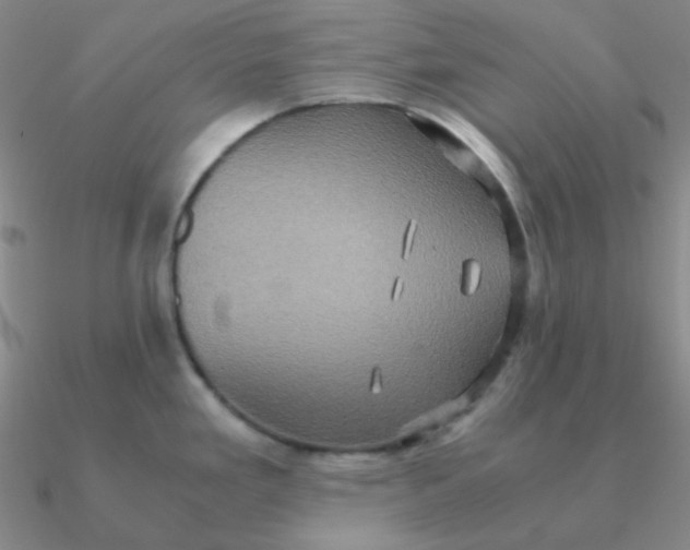 X0000090621293200708071217