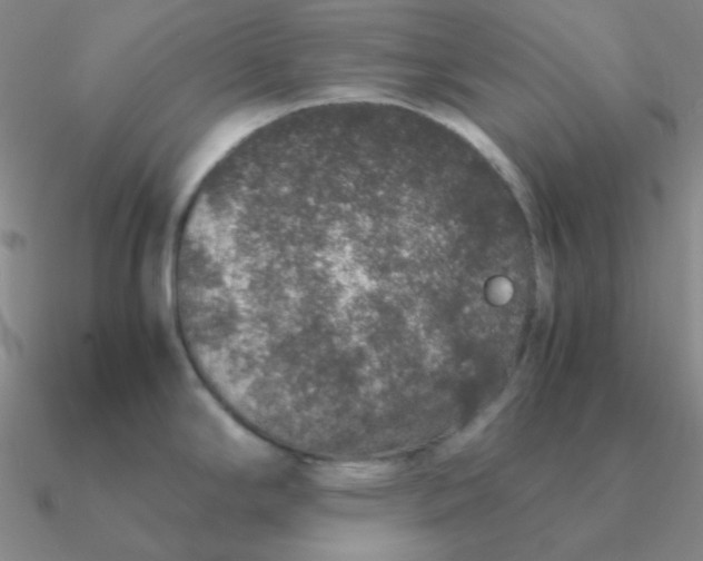 X0000090621294200708071217