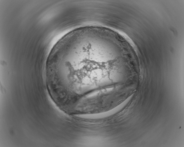 X0000090621295200708071217