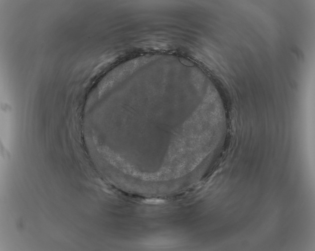 X0000090621297200708071216