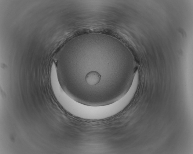 X0000090621298200708071216