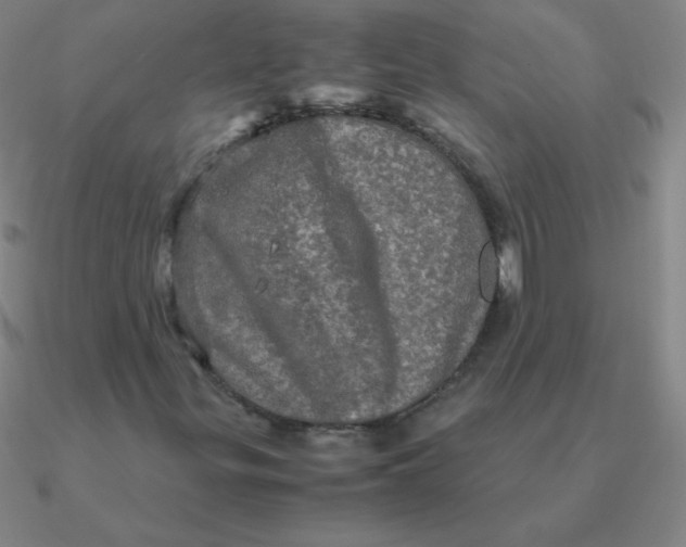 X0000090621299200708071216