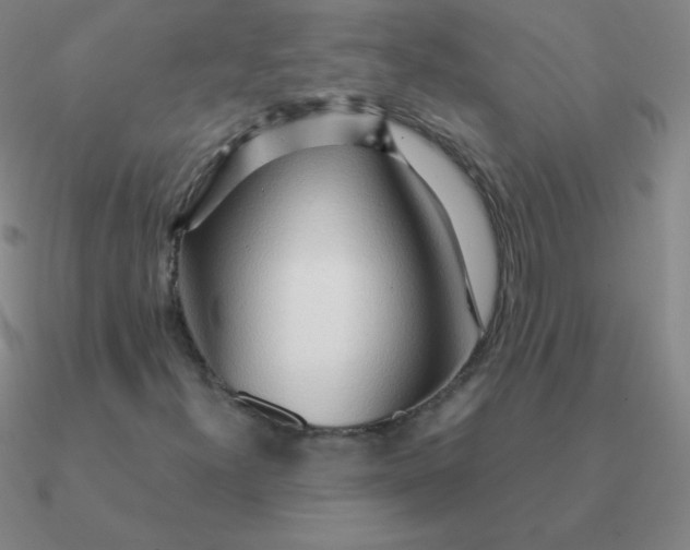 X0000090621300200708071216