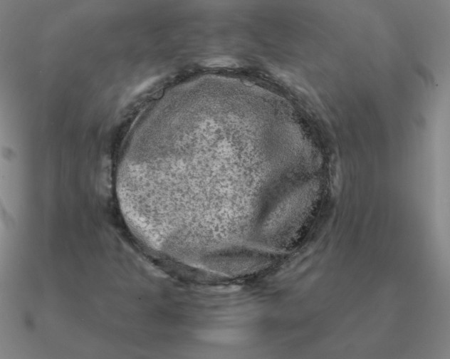 X0000090621301200708071216