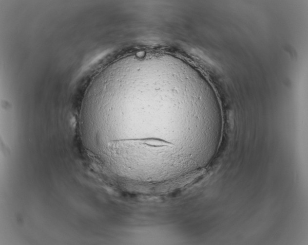 X0000090621302200708071216