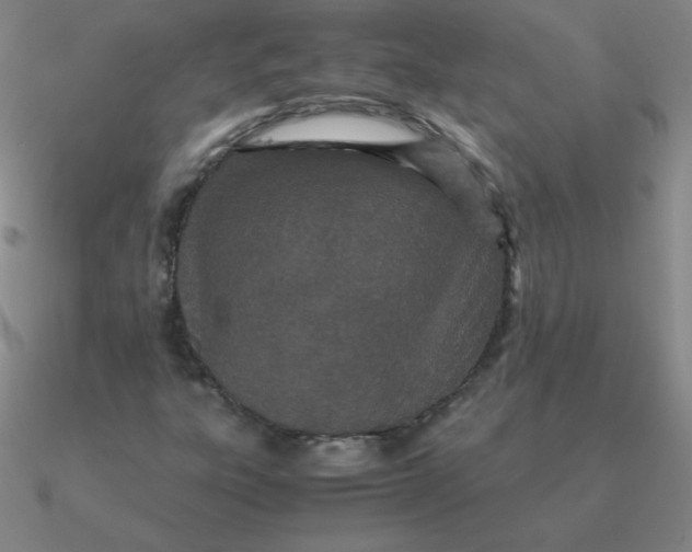 X0000090621303200708071216