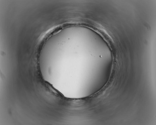 X0000090621304200708071216