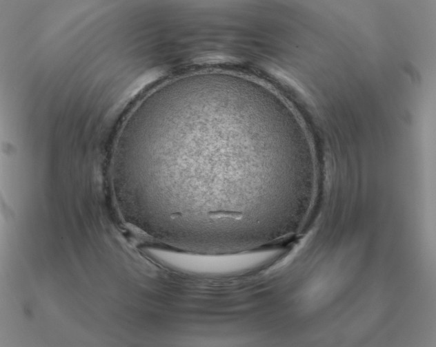 X0000090621305200708071216