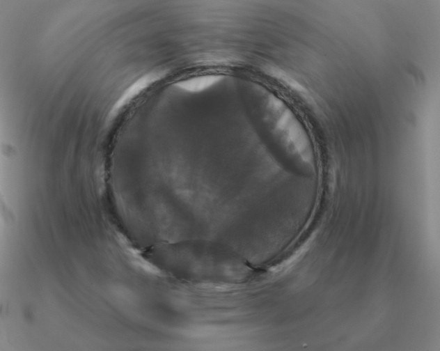 X0000090621306200708071216