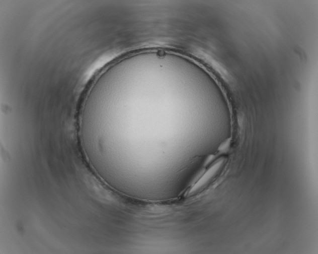 X0000090621308200708071216