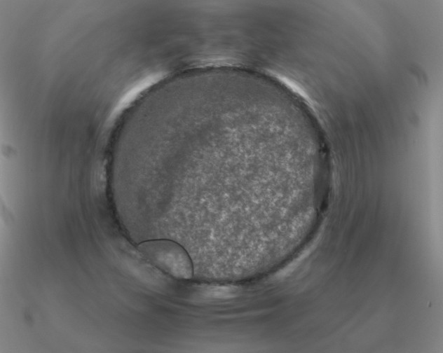 X0000090621309200708071216