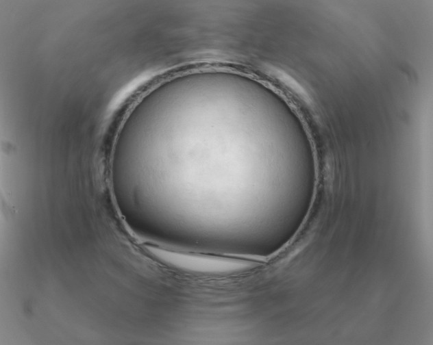 X0000090621310200708071216