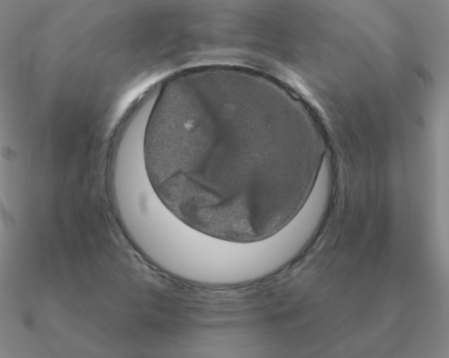 X0000090621312200708071216