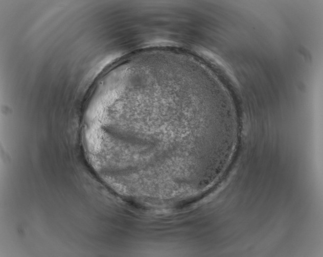 X0000090621313200708071216