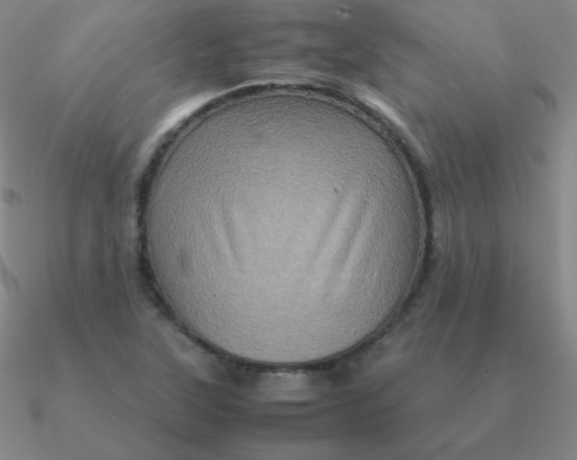 X0000090621315200708071216