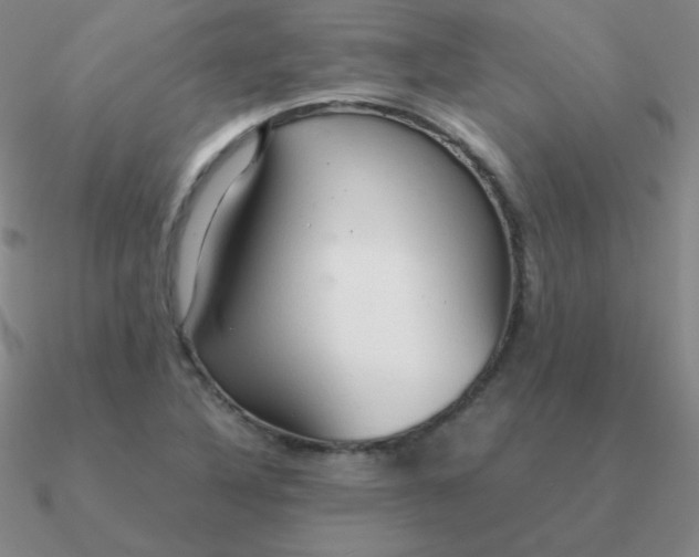 X0000090621316200708071216