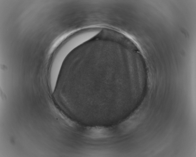 X0000090621319200708071216