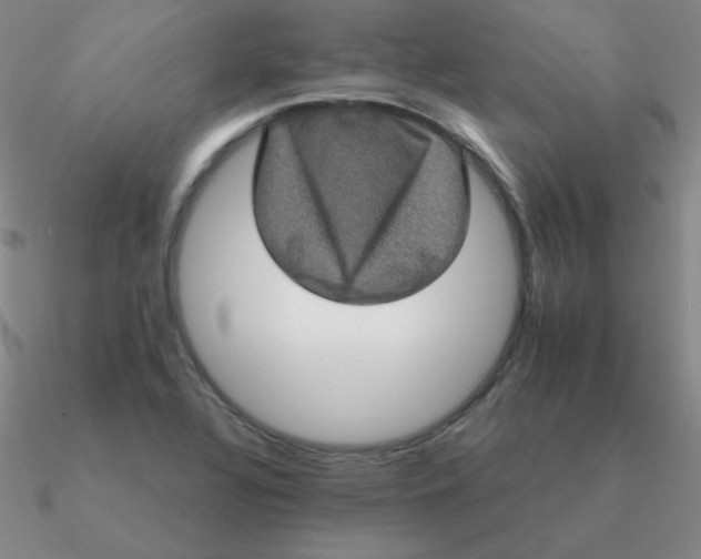 X0000090621320200708071216