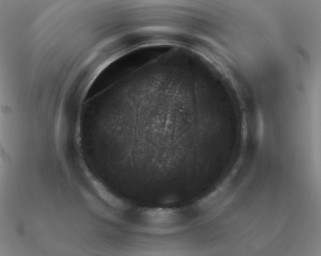 X0000090621321200708071216